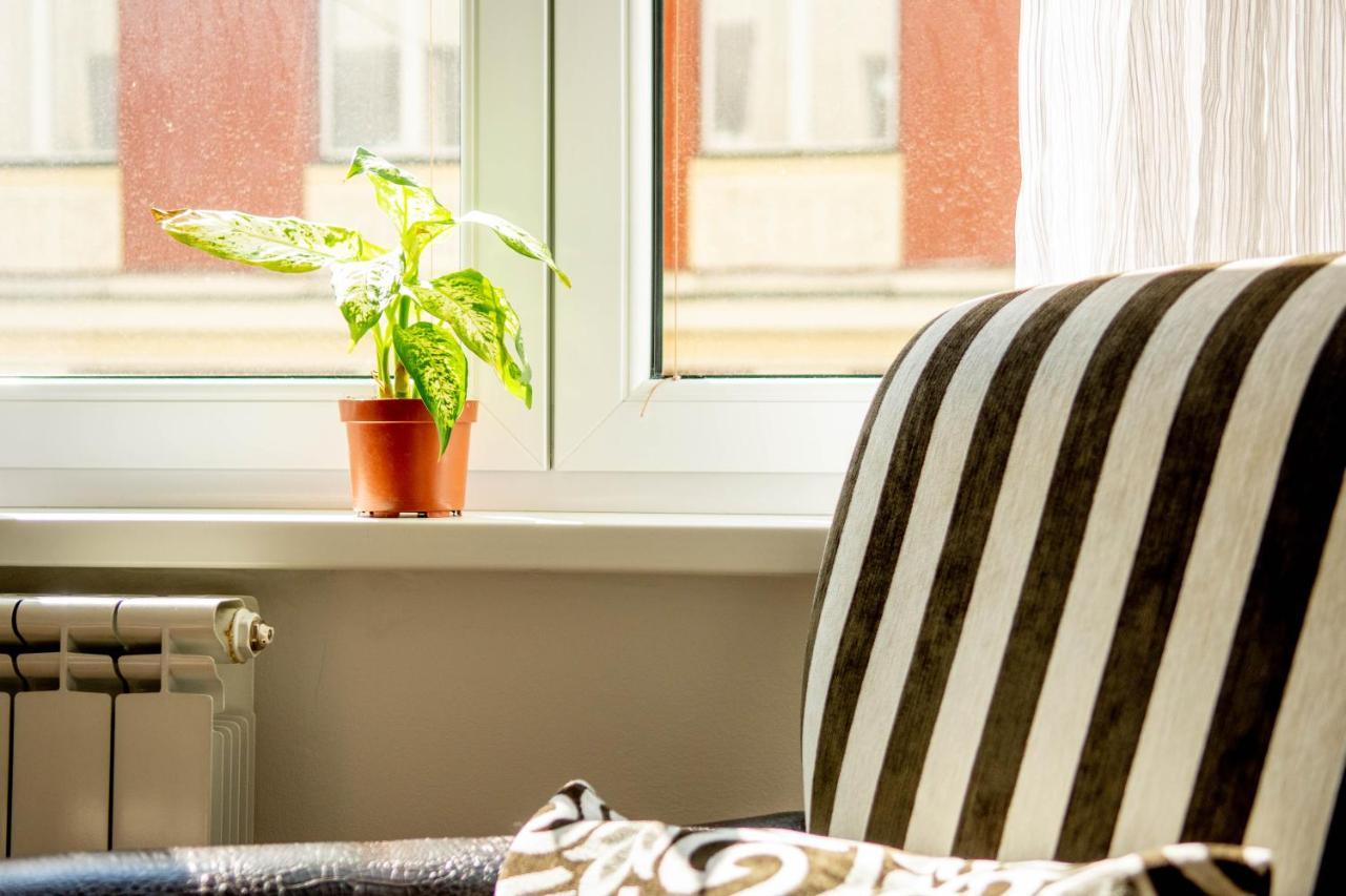 Cute And Cozy Studio With Cathedral View-Excellent Location SJJ Extérieur photo